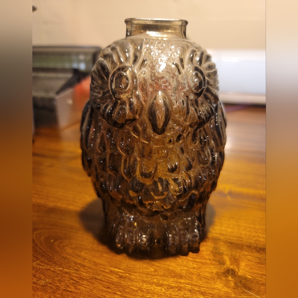 Wise Old Owl Bank